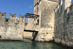 IMG_1327