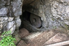 IMG_1377